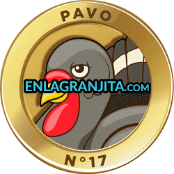 Animalito Pavo utilizado en los resultados de los sorteos de la Lotería La Granjita