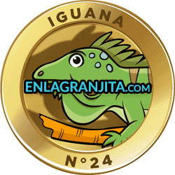 Imagen animalito Iguana de La Granjita